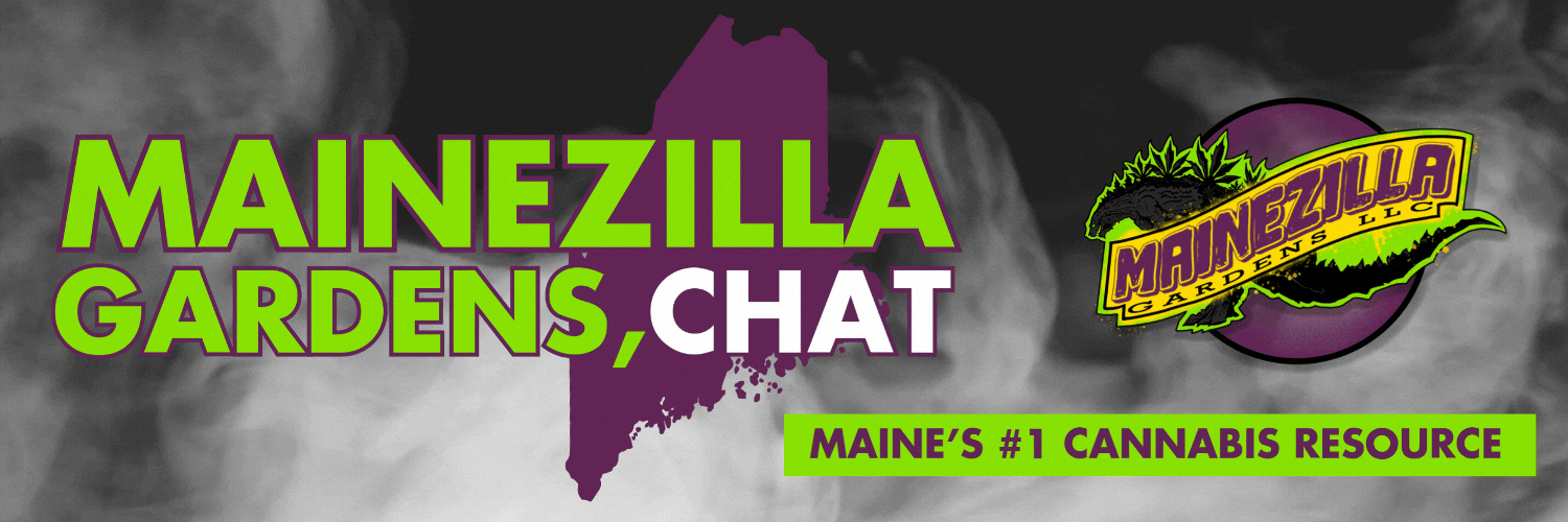 Mainezilla Gardens, Chat 2