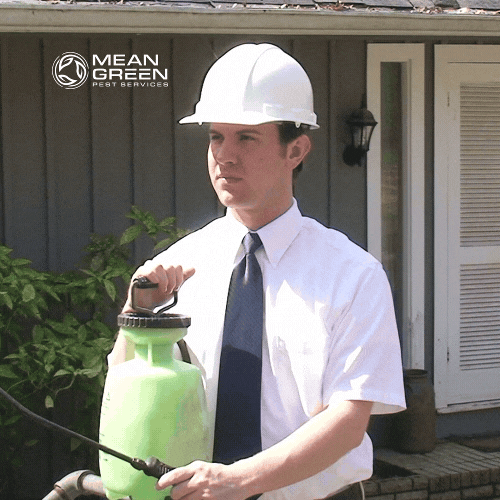 MEAN GREEN EXTERMINATOR